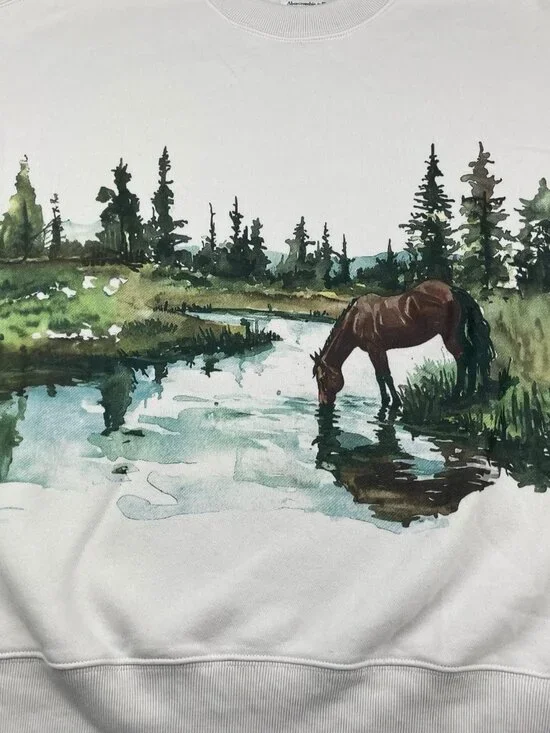 Abercrombie & Fitch Men’s Soft Fleece Horse Scene Pullover Sweatshirt Beige • XS - Picture 3 of 8